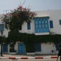 Dovoleny/Tunisko_2009/Sidi_Bou_Said,f2786806.jpg